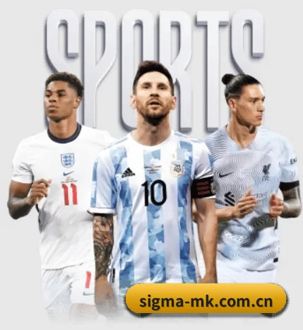 本站五个常用功能入口,赛程查询路径更短 - 多运动项目内容板块（MKSports）